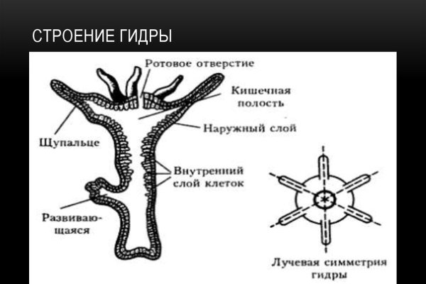 Что такое кракен маркет