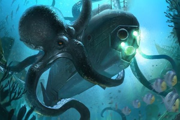 Kraken onion link